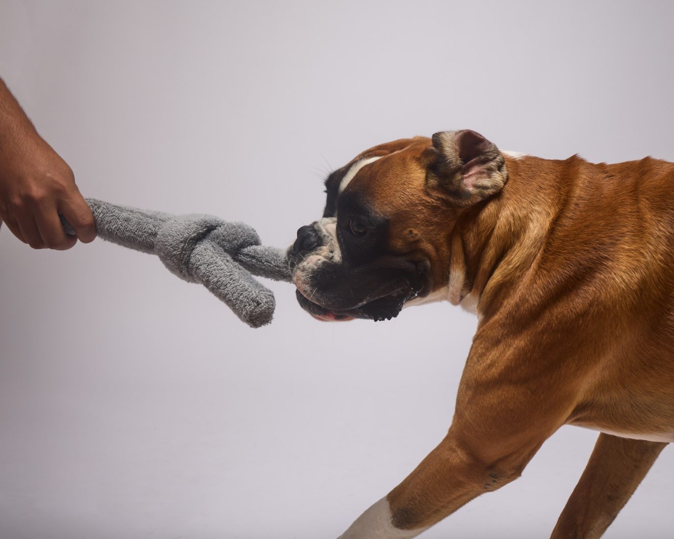 Tug of Fun