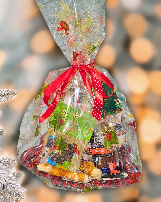 Χριστουγεννιάτικο Δώρο για Σκύλους