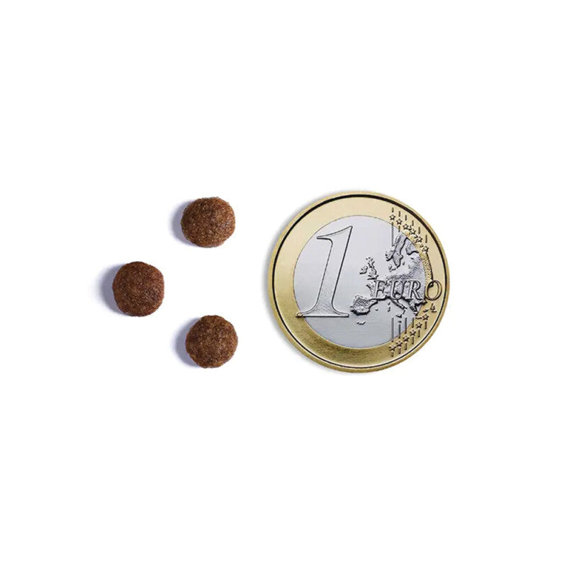 Τροφή για Κουτάβια με Κοτόπουλα και Φρέσκο Ψάρι AMBROSIA 2kg