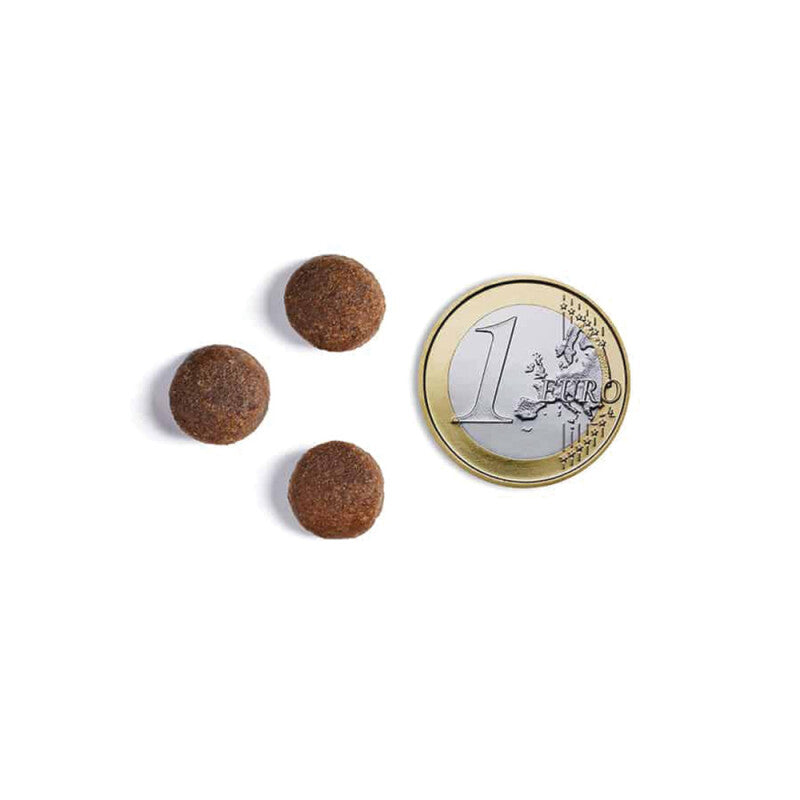 Τροφή Σκύλου με Μοσχάρι και Φρέσκο Σολομό AMBROSIA